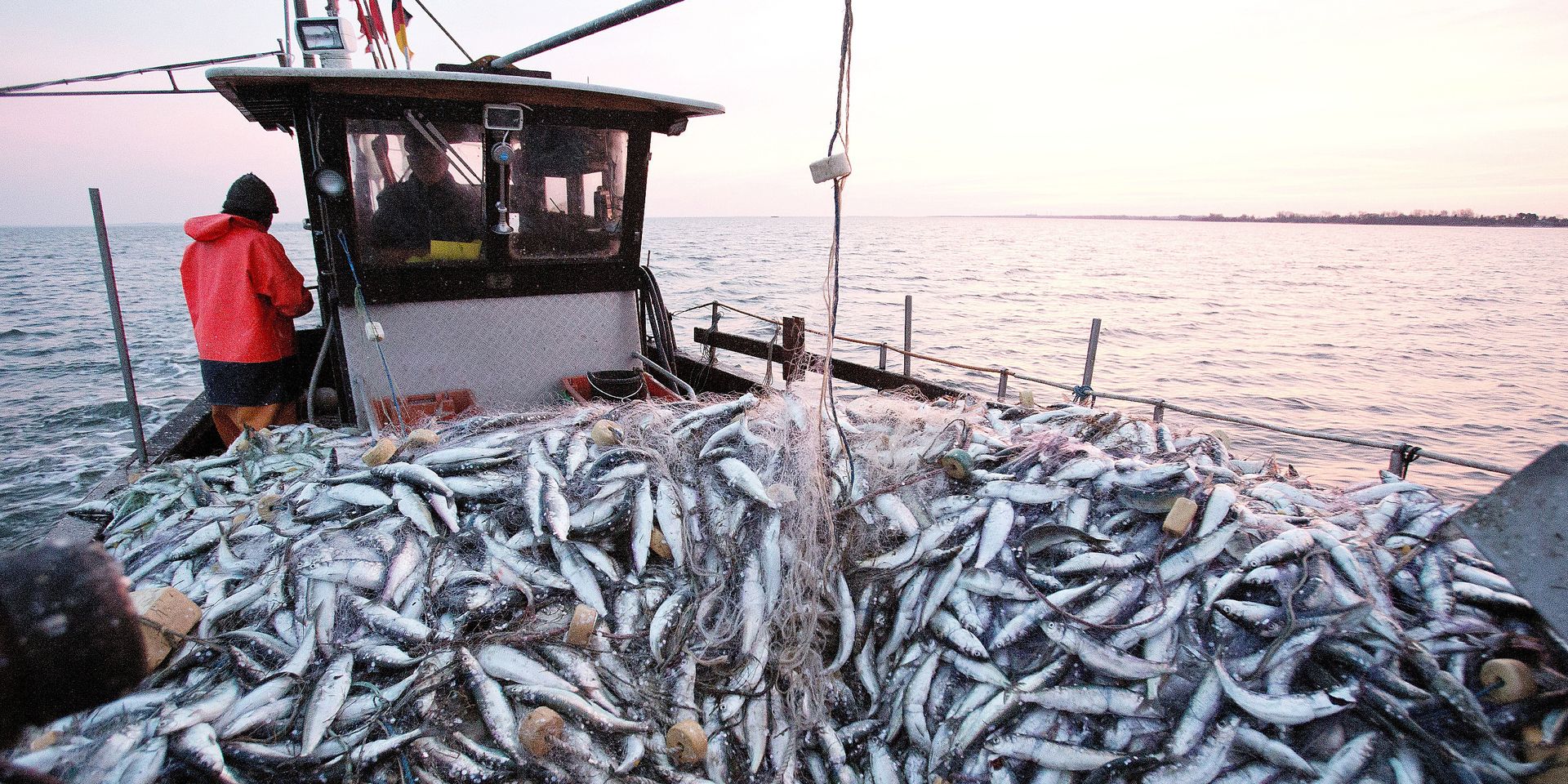 Covid-19: L'activité de la pêche maritime sera renforcée