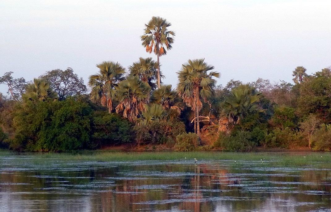 Fondation OCP soutient le Parc National du Niokolo Koba du Sénégal